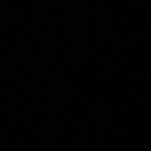 Meet your Posher, George